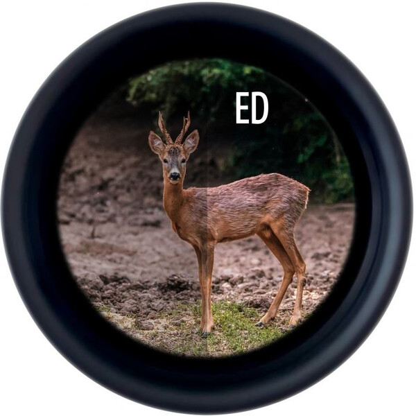 Minox Binoculares X-Tour 10x42