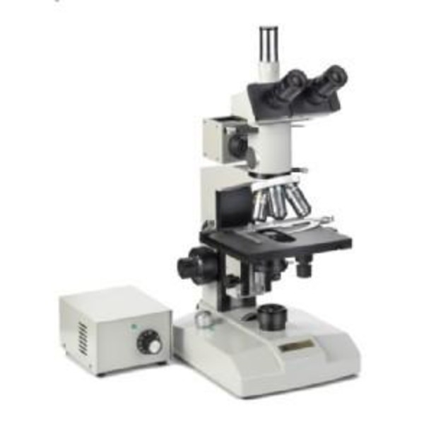 Euromex Microscopio ME 2665 Metalurgia