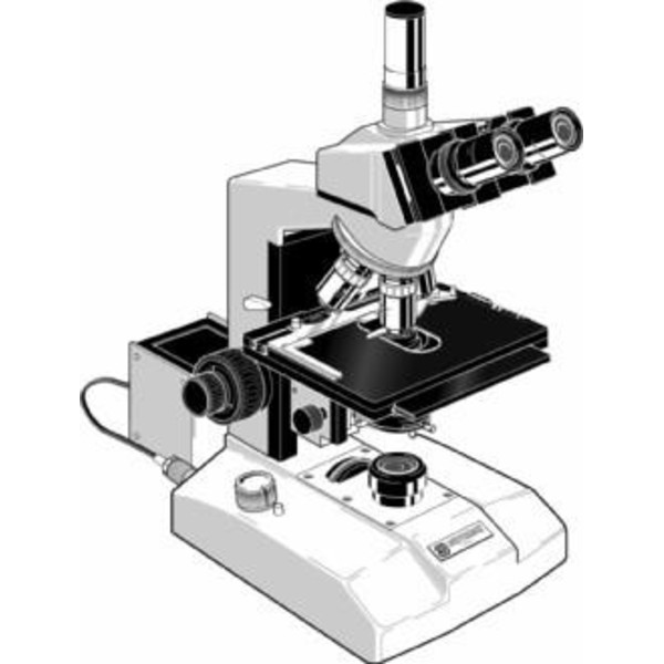 Euromex Microscopio GE.3045
