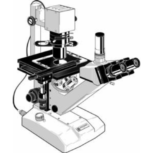 Euromex Microscopio FE.2955, inverso
