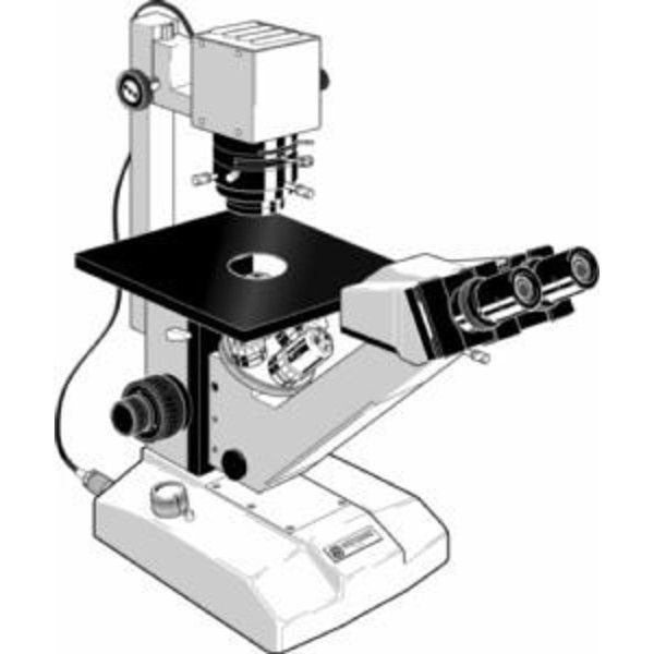 Euromex Microscopio FE.2910, inverso