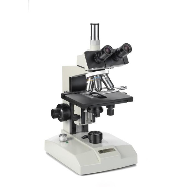 Euromex Microscopio FE.2545 con calefacción