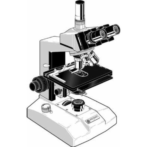 Euromex Microscopio FE.2035