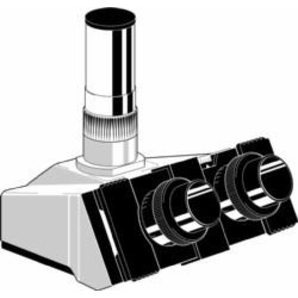 Euromex Microscopio Visión oblicua AE.1115