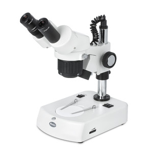 Motic Microscopio estereo SFC-11C-N2GG