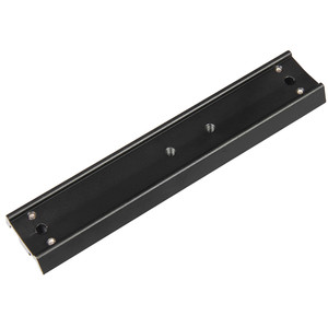 Omegon Raíl de montaje de 20cm para monturas EQ-4/5/6