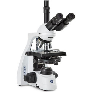 Euromex Microscopio BS.1153-PLPHi, trino, 40x-1000x