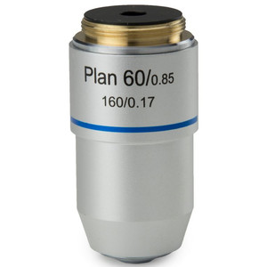 Euromex objetivo S100x/1,25 plan., resorte, aceite, DIN, BB.8800 (BioBlue.lab)