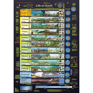 Planet Poster Editions Póster Life on Earth