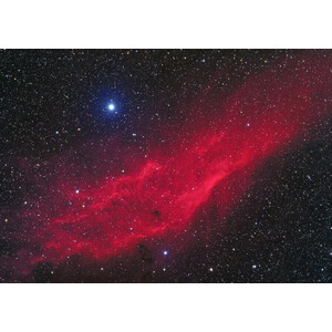 Oklop Póster Neblina californiana NGC 1499 60 cm x 40 cm
