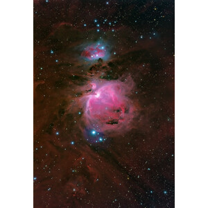 Oklop Póster Orionnebel M42 40cmx60cm
