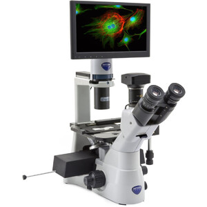 Optika Microscopio invertido IM-3LD4D, 6MP, 12" display, trino, IOS U-PLAN F, LED-FLUO, LWD, 400x, 4 empty filter slots