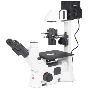 Motic Microscopio invertido AE31E trino, infinity, CCIS Plan 4x LWD, Ph10x/20x40x, 100W Hal