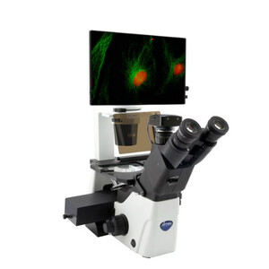 Microscopio invertido IM-300LD4D Digital Inverted LED fluorescence microscope, 400x, IOS LWD PLAN F, 4 empty filterset slots