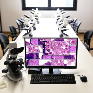 Optika Microscopio Paquete -WI-LEARN 1 profesor + 8 estaciones para alumnos