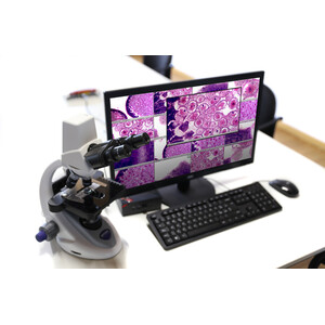 Optika Microscopio Estación del profesor -WI-LEARN - B-290