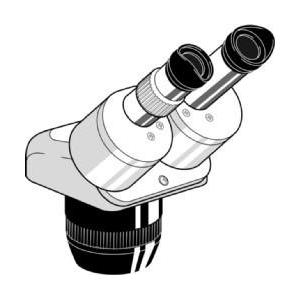 Euromex Microscopio stereo zoom Cabezal estéreo EE.1522, binocular