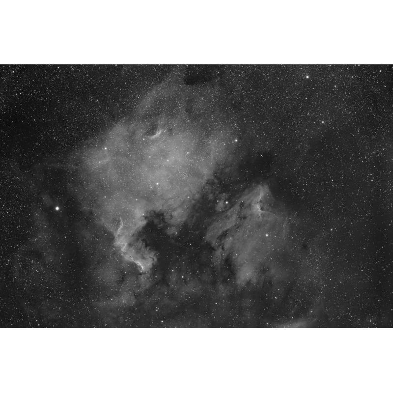 Starlight Xpress Cámara CCD monocromática SXVR-H35