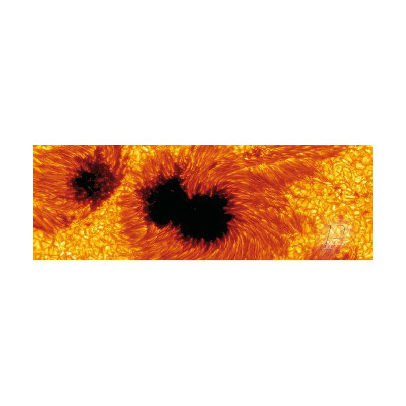 Palazzi Verlag Póster Manchas Solares