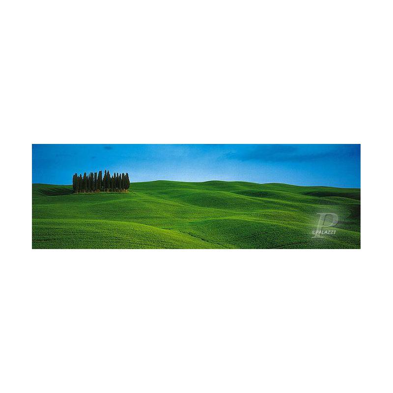 Palazzi Verlag Póster Árboles, Toscana