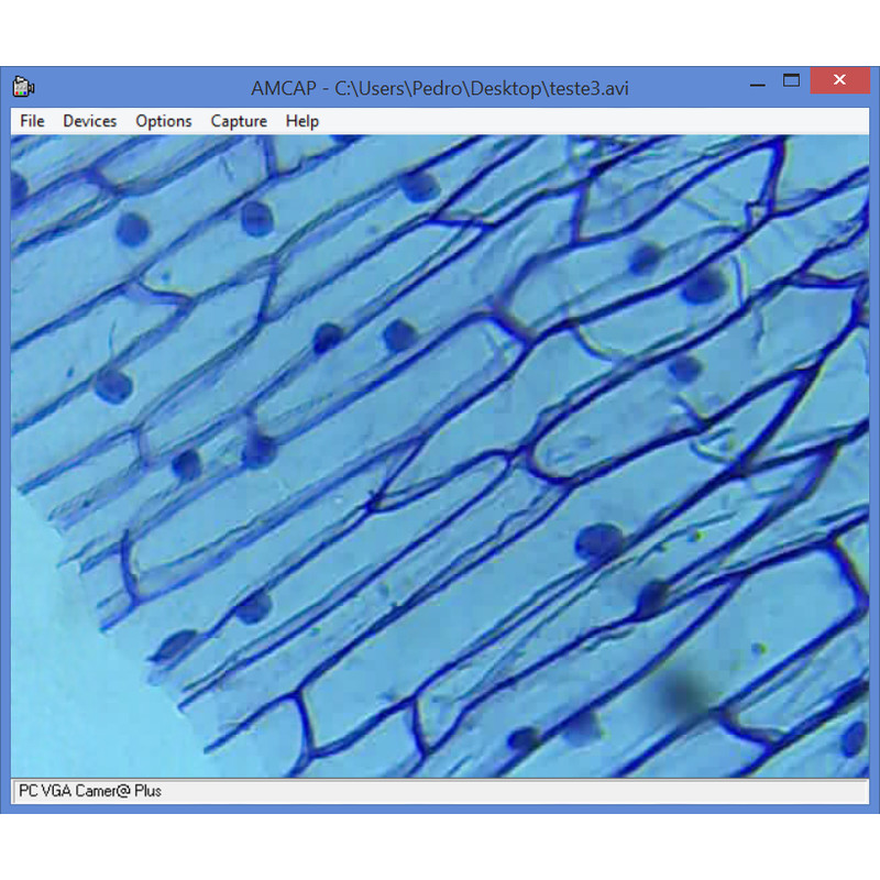 Omegon Microscopio MonoView, MicroStar, achromat, 1280x, LED