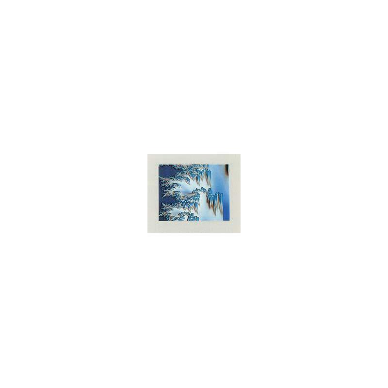 Palazzi Verlag Póster Dentritic Structures