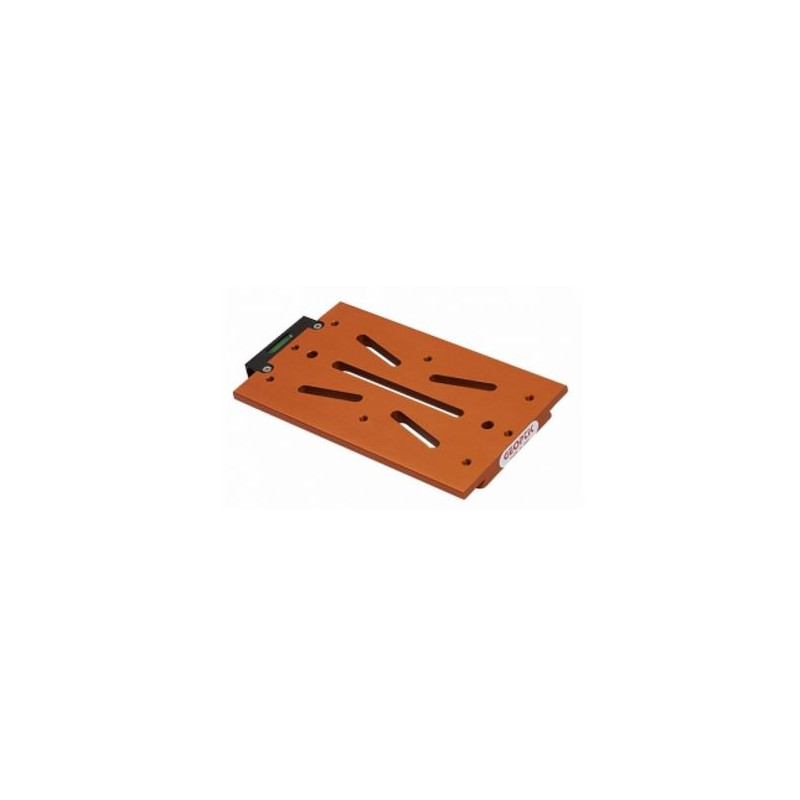 Geoptik Placa cola de milano Losmandy-Style 170 mm