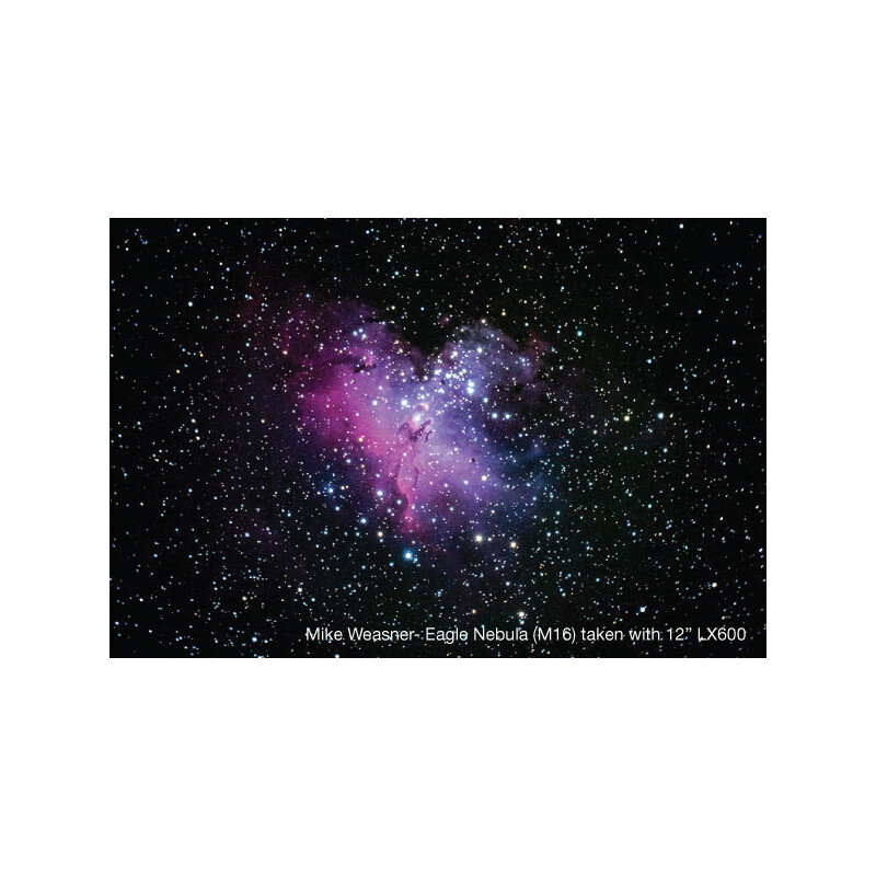 Meade Telescopio ACF-SC 304/2438 Starlock LX600 sin trípode
