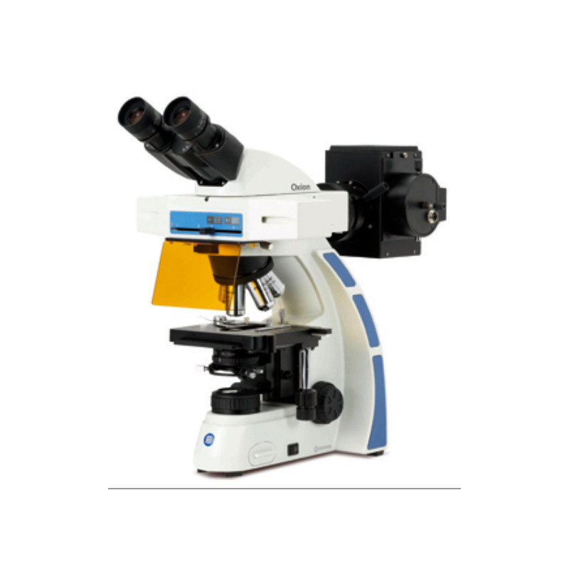Euromex Microscopio OX.3070, binocular, Fluarex