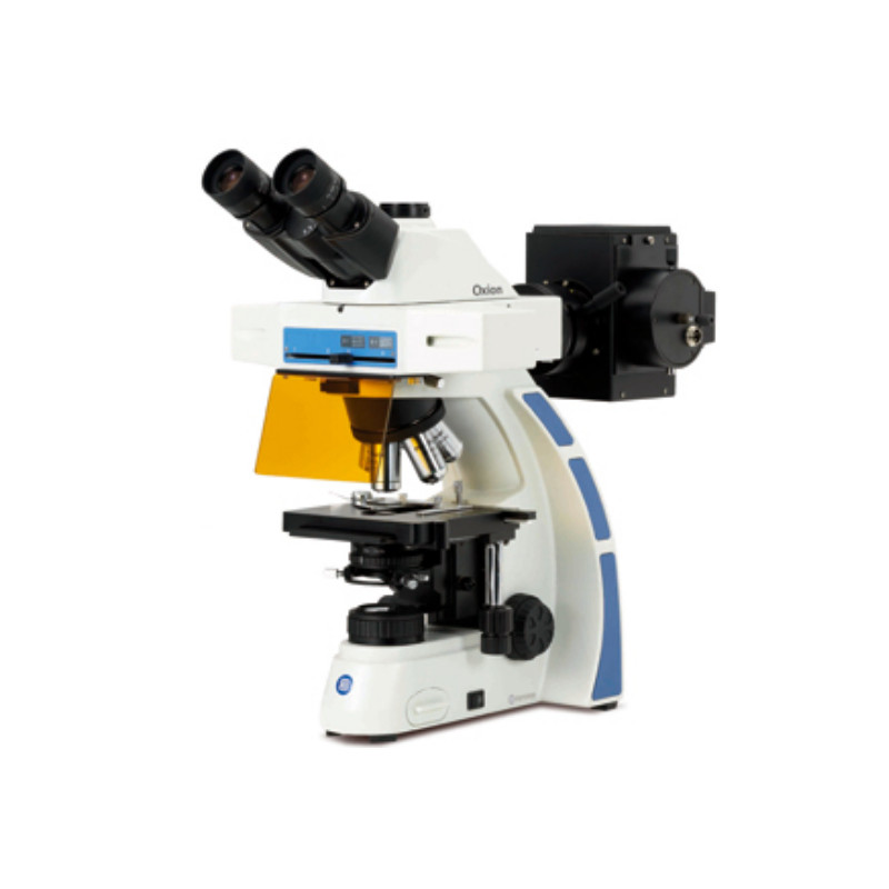 Euromex Microscopio OX.3085, trinocular, Fluarex, aceite