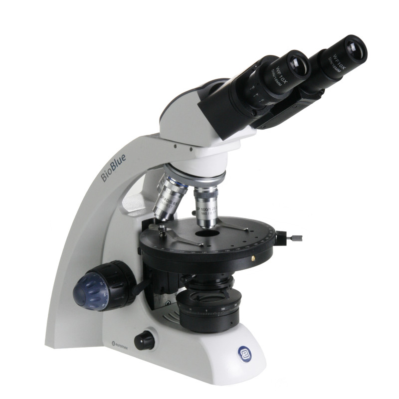 Euromex Microscopio BB.4260-POL microscope, binocular