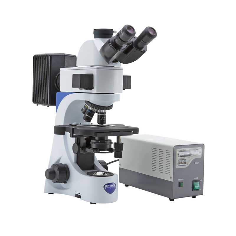 Optika Microscopio Mikroskop B-383FL-EUIV, trino, FL-HBO, B&G Filter, N-PLAN, IOS, 40x-1000x, EU, IVD