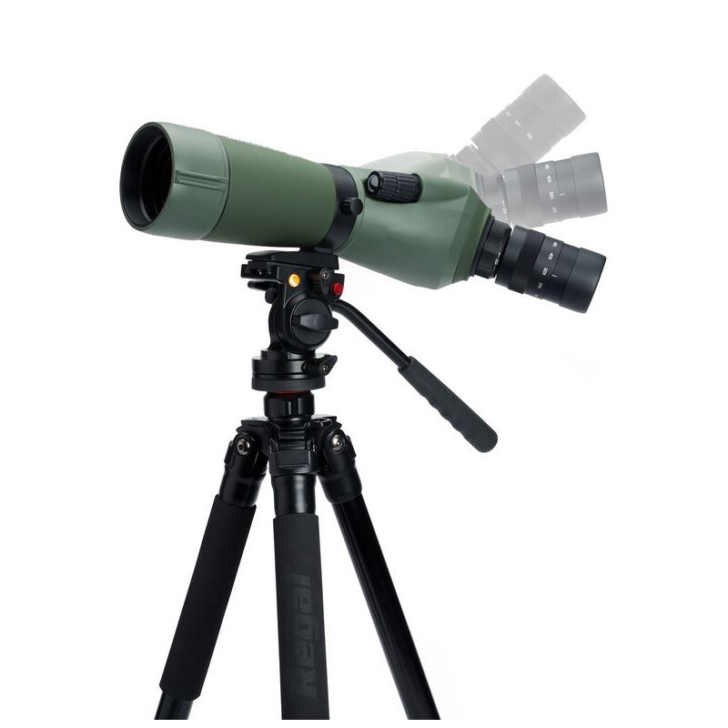 Celestron Catalejo REGAL M2 16-48x65 ED