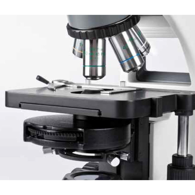 Motic Microscopio BA310E, bino, BF, infinity, EC- plan, achro, 40x - 400x, Hal 30W, LED 3W (opt.)