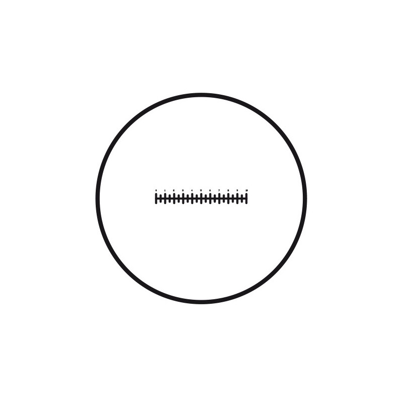 Motic Placa graduada micrométrica Placa graduada (10 mm en 100 partes), (Ø 25 mm)