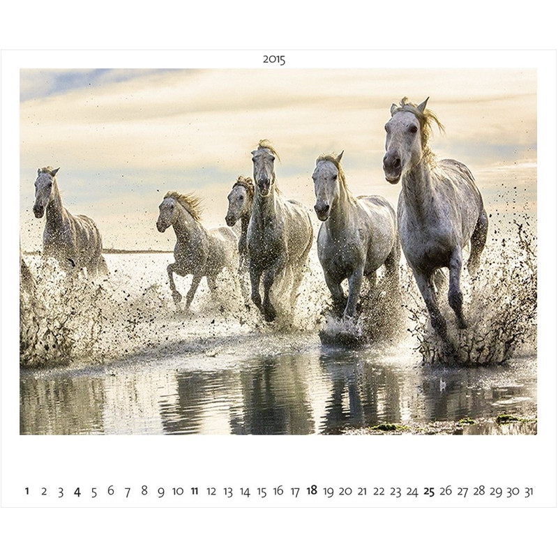 Palazzi Verlag Kalender Landschaft im Licht 2015