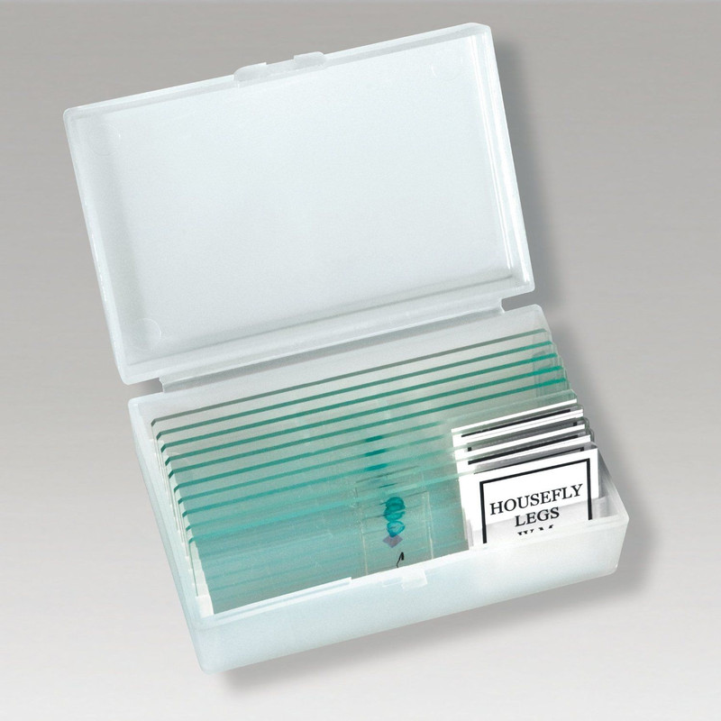 Microscopio Optus Biolux CEAG 40X-1024X microscope kit