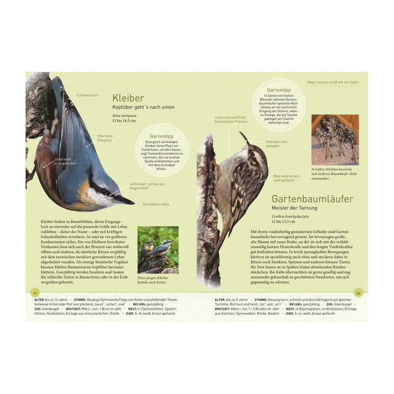 Kosmos Verlag Pájaros de jardín a tamaño real (libro "Gartenvögel lebensgroß" en alemán)