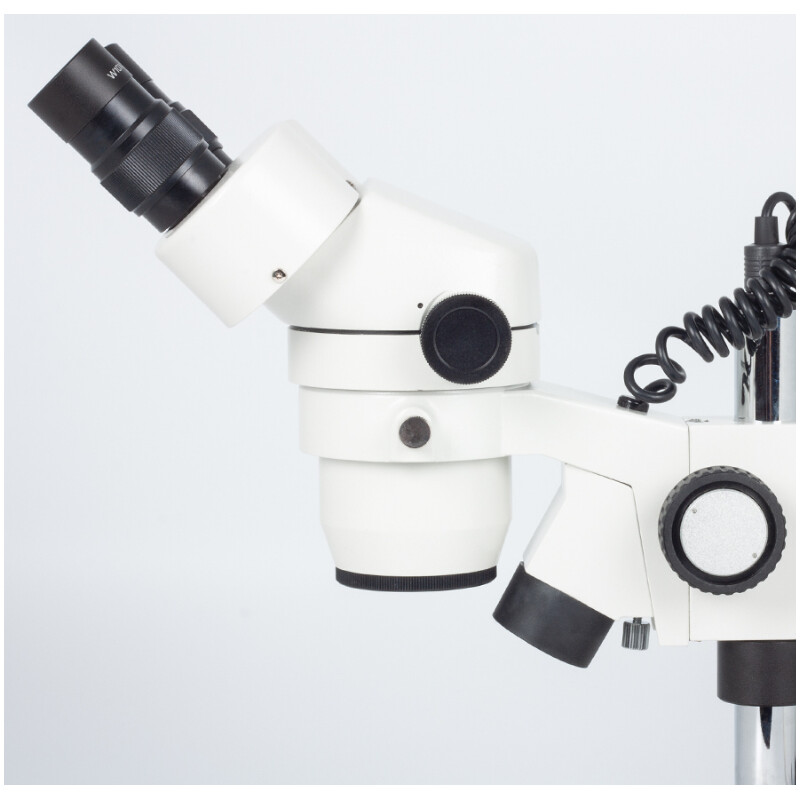 Motic Microscopio stereo zoom SMZ140-N2GG