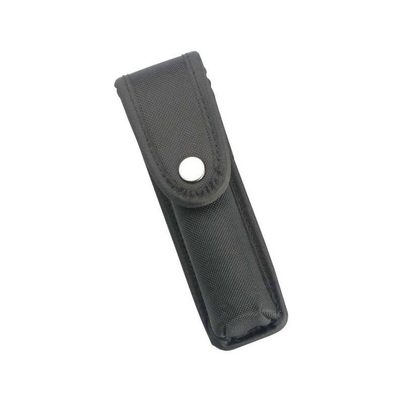 Walther Funda de cinturón para Tactical 250