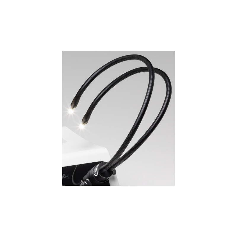 SCHOTT Cuello de cisne, 2 brazos PURAVIS Ø 4,5 mm / 600 mm