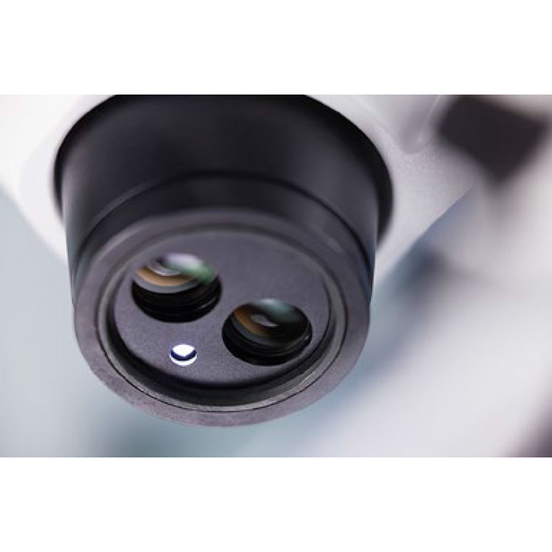 ZEISS Microscopio stereo zoom Stemi 305, LAB, bino, Greenough, w.d. 110 mm, 10x/23, 0.8x-4.0x