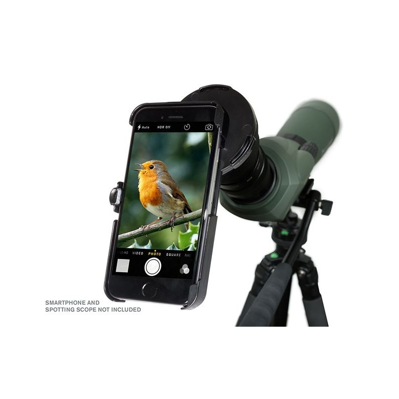 Celestron Adaptador para smartphone Regal para iPhone 6+