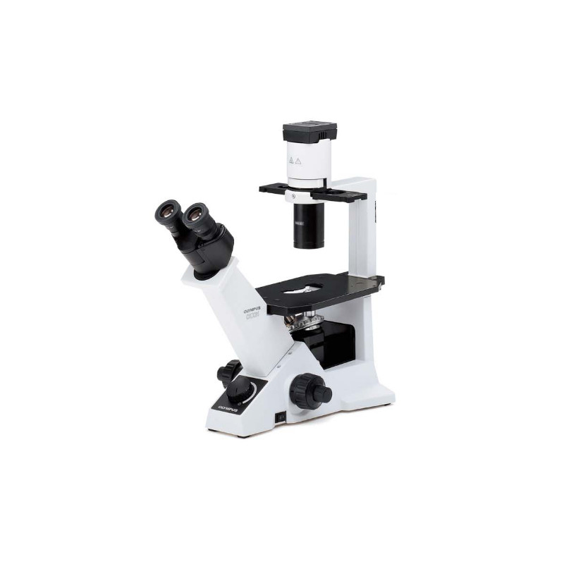 Evident Olympus Microscopio invertido CKX31 Fase, bino, Hal, 40x, 100x, 200x, 400x