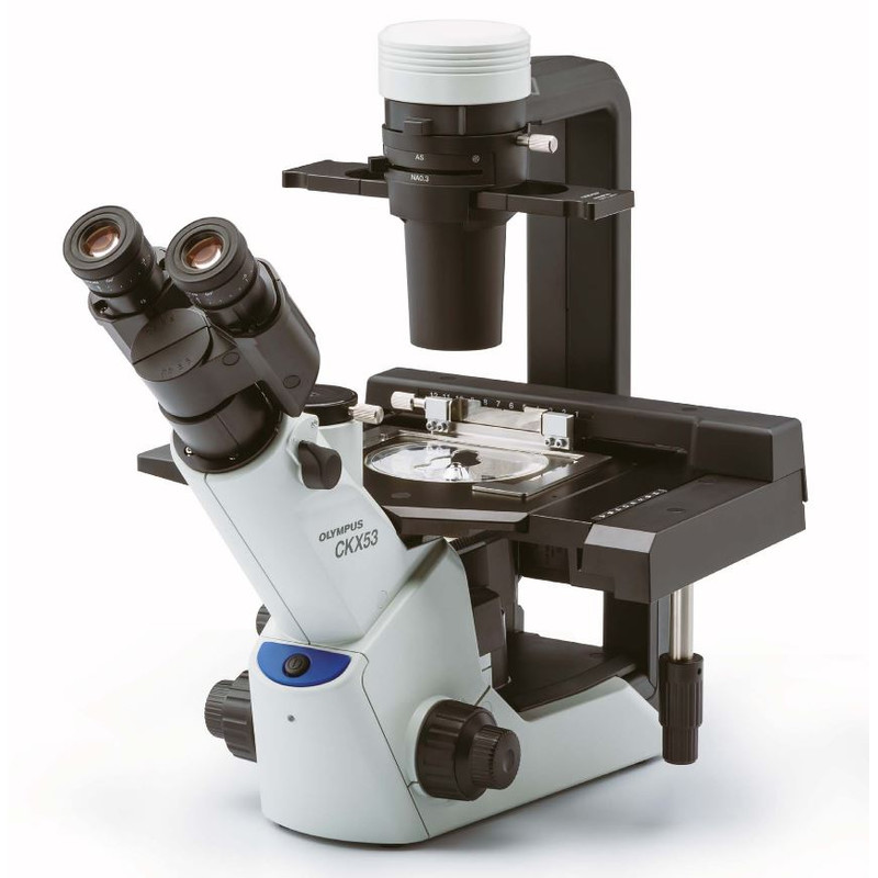 Evident Olympus Microscopio invertido CKX53, trino, 100x, 200x, 400x, IPC/IVC, platina x/y