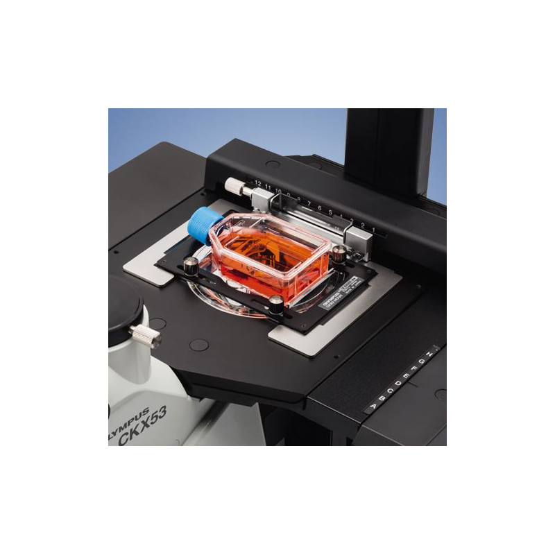 Evident Olympus Microscopio invertido Olympus CKX53 Hellfeld V2, trino, infinity, plan, achro, 2x, 4x, 10x, LED