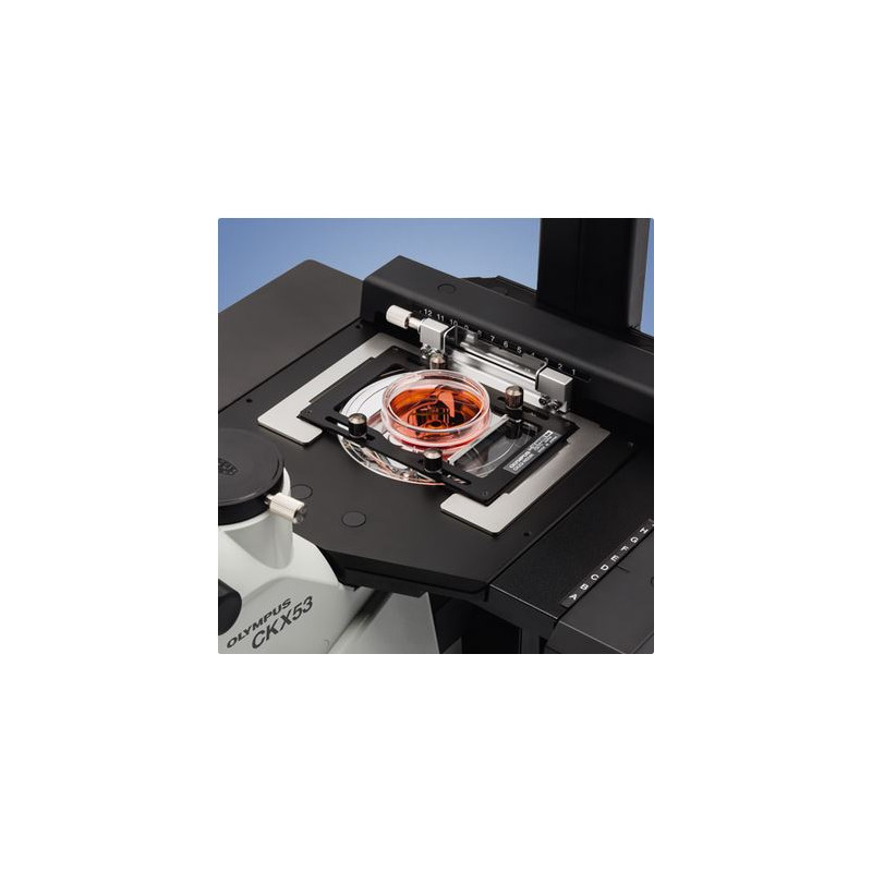 Evident Olympus Microscopio invertido CKX53, trino, 100x, 200x, 400x, IPC/IVC, platina x/y
