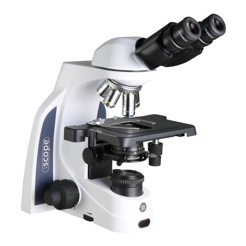 Euromex Microscopio iScope IS.1152-PLPHi, bino, PH, infinity, plan, 40x-1000x, iCare, LED