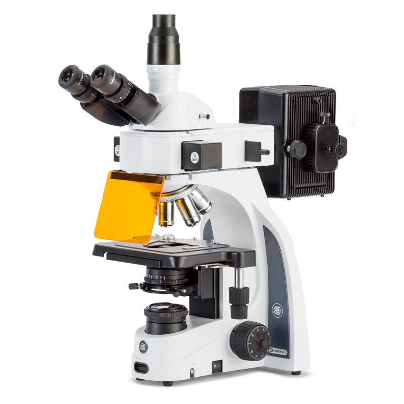 Euromex Microscopio iScope, IS.3153-PLi/3, trino