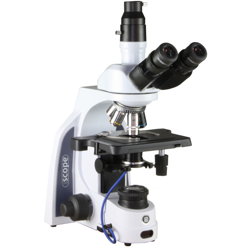 Euromex Microscopio iScope IS.1153-PLi/DF, trino, HF, DF, infinity, plan, 40-1000x, LED